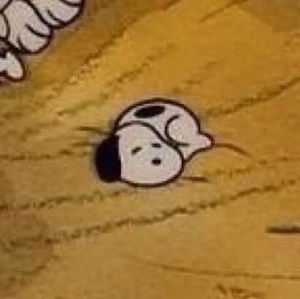 Meet your Posher, Chloe